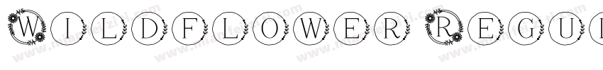 Wildflower Regular字体转换